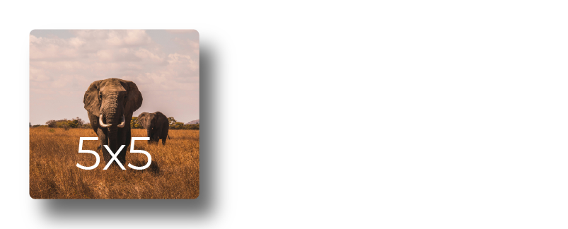 Sample photo print mockup displaying elephants walking through the savanna grass labeled with print dimensions 5x5