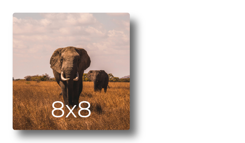 Sample photo print mockup displaying elephants walking through the savanna grass labeled with print dimensions 8x8