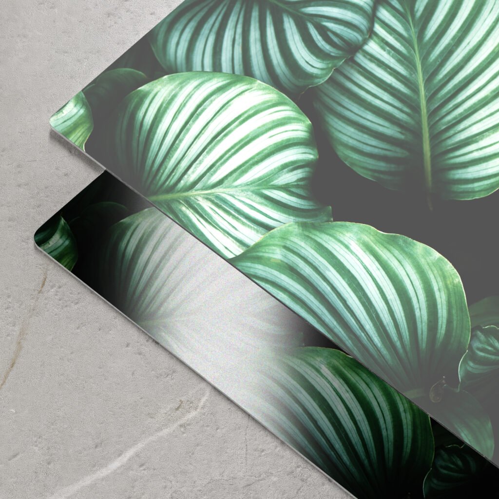 Two aluminum panels printed with large green Calathea leaves resting on a concrete surface, showcasing gloss and matte finishes.