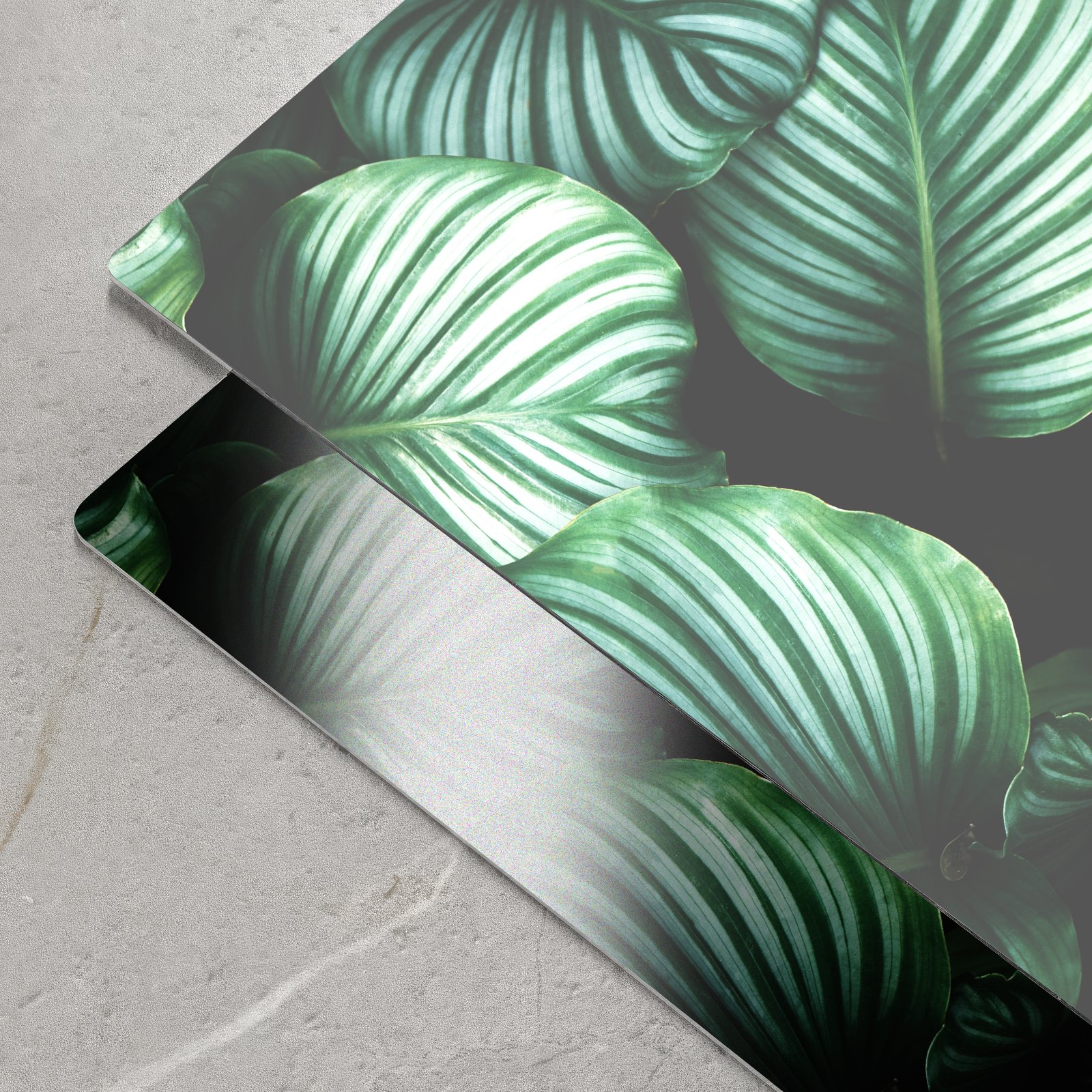Two aluminum panels printed with large green Calathea leaves resting on a concrete surface, showcasing gloss and matte finishes.