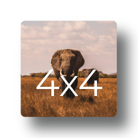 Sample photo print mockup displaying elephants walking through the savanna grass labeled with print dimensions 4x4