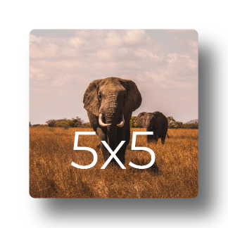 Sample photo print mockup displaying elephants walking through the savanna grass labeled with print dimensions 5x5