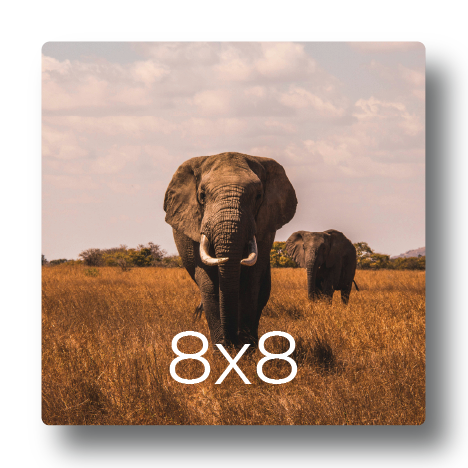 Sample photo print mockup displaying elephants walking through the savanna grass labeled with print dimensions 8x8